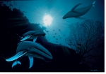 WHALE VISION