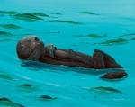 SEA OTTER SEAS (11X14 MATTED)