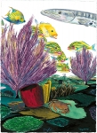 CORAL REEF LIFE (RIGHT)