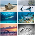 NATURE PHOTOGRAPHY NOTE CARDS SETS - WYNC-SET0812