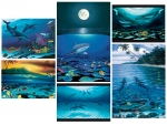 FINE ART NOTE CARD SETS - WYNC-SET0820