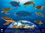 Poster, Sea Turtles of the World (19 X 26)