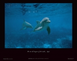 MOTHER OCEAN